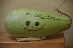 かんぴょうくん