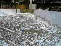 遅ればせながら