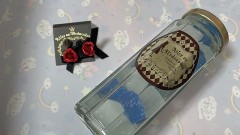 【お題日記】プレゼントされて嬉しかったもの