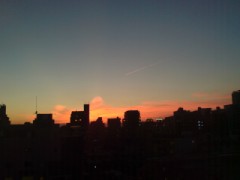 どうなってるんだ