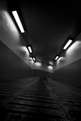 たいした話じゃないですよ…