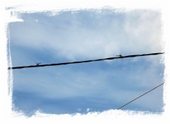 レス＋ログ　(^^♪