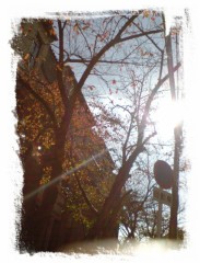 遅くなりました(^^ゞ　リコメです！！