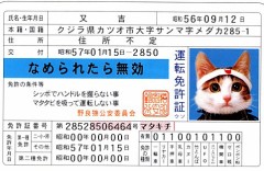 【お題日記】「猫の日」！みなさんは猫派？犬派？