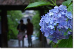 【お題日記】　「理想の恋人」　「うれしかったこと」