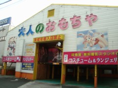【お題日記】大人の玩具で好きな物