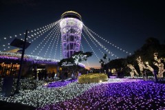 【お題日記】クリスマスイブ誰と過ごしますか!?