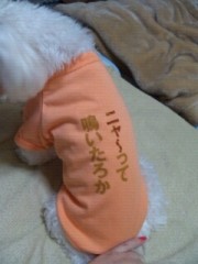 病気の種類