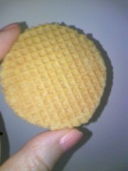 待ちぼうけの彦星