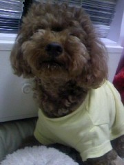 ナマ足にむしゃぶりついた