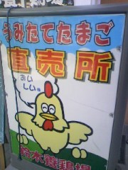 夏場の栄養と涼