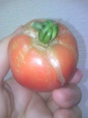 趣味嗜好と景気の関係