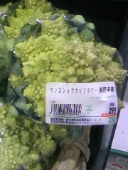 減塩は高血圧に効くのか!?