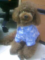 添い寝屋サロン