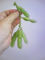 熟成していく夜