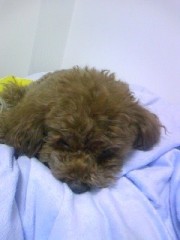 甘い囁きにご用心