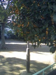 最強の二人と娼婦の館