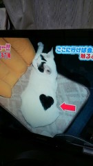 カラダが疼く恋の季節