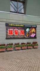 球磨川下りと鮎