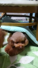 寒い夜は脚の太い男と