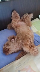 床上手になりたい