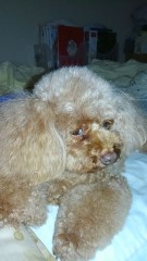 ナンパじゃないけど