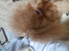 愛が壊れるとき