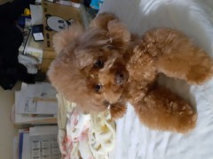 失恋の乗り越え方