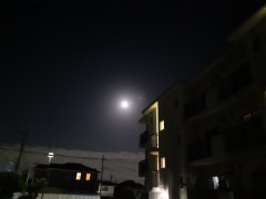 呪いの五寸釘、そんな所に？！