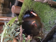 イケメンとスイーツ