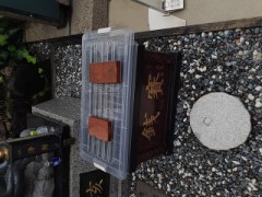 裏に載せるはずだった写真