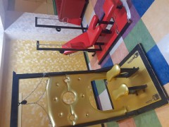 自然林伐採計画