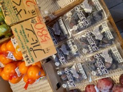 方向音痴と徘徊