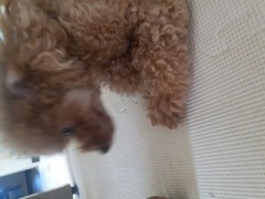 モコモコでぬくぬく