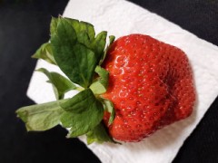 若い男が追ってきた