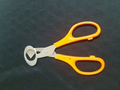 鶯より鷺、そして鶉