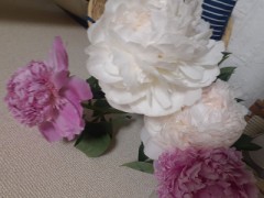 熟女たちの合コン