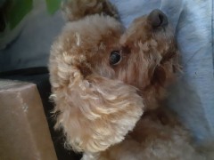 一度、抱いたら