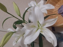 酔ったら、危険？！