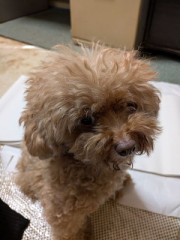ドキっとしたキス中の仕草