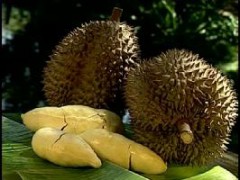 フリートーク４　旅　食事編３　食後のフルーツでっせ