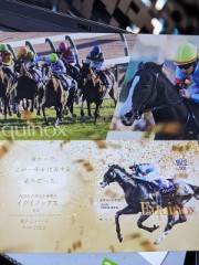 【お題日記】写真撮る時のポーズ