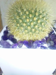 お久しぶりです