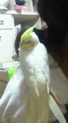 今年も終わります