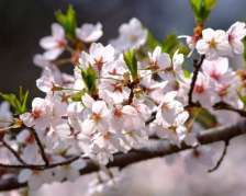 また始めようかな