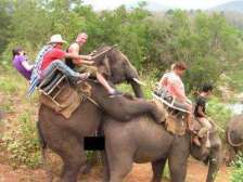 【お題日記】最近ムラムラしてる？