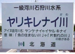 【お題日記】最近うれしかった出来事