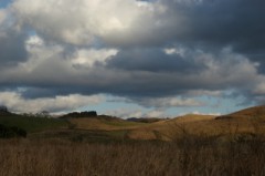 ワイルドな自然。