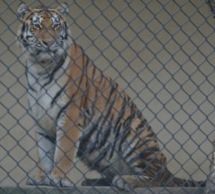 今日も冷えます!!