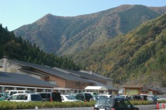 行ってきました！